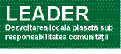 LEADER
